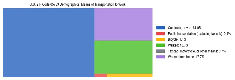Treemap showing means of transportation to work distribution in US ZIP Code 05753.