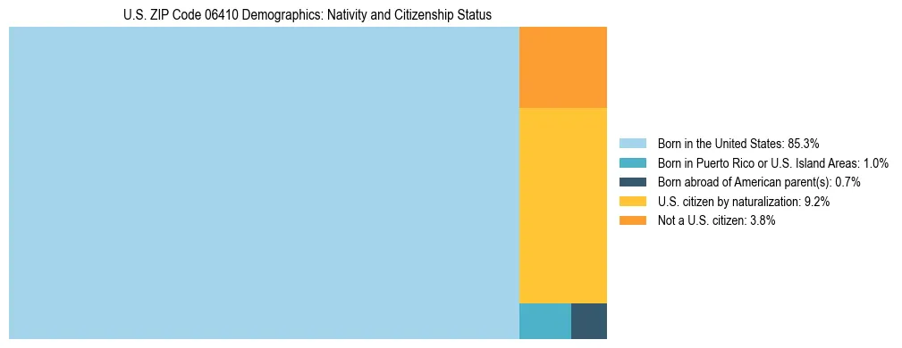 Treemap showing the population distribution by nativity and citizenship status in US ZIP Code 06410 based on U.S. Census data.