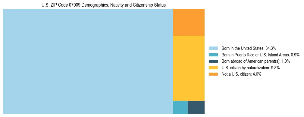 Treemap showing the population distribution by nativity and citizenship status in US ZIP Code 07009 based on U.S. Census data.