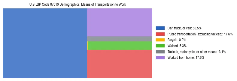 Treemap showing means of transportation to work distribution in US ZIP Code 07010.