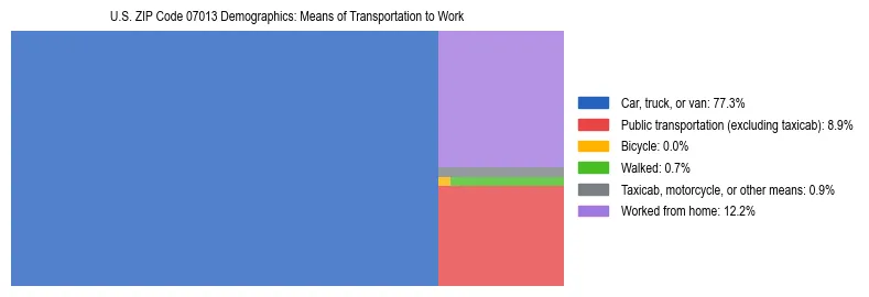Treemap showing means of transportation to work distribution in US ZIP Code 07013.
