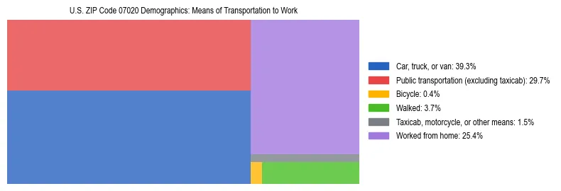 Treemap showing means of transportation to work distribution in US ZIP Code 07020.