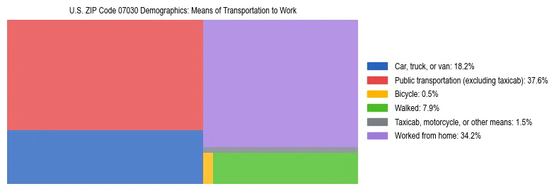 Treemap showing means of transportation to work distribution in US ZIP Code 07030.