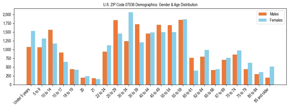 Bar chart showing the population distribution of US ZIP Code 07036 by age group and gender, based on 2023 ACS data.