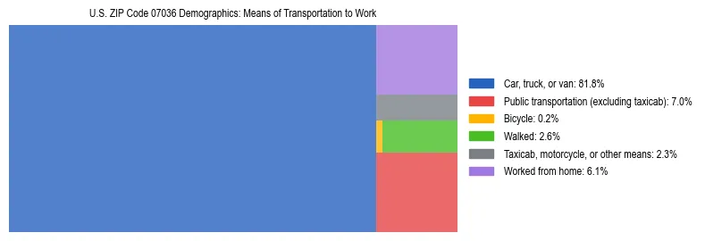 Treemap showing means of transportation to work distribution in US ZIP Code 07036.