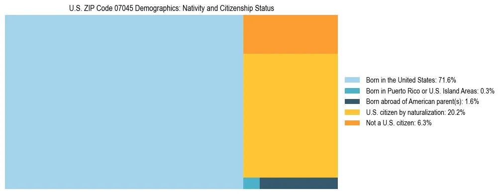 Treemap showing the population distribution by nativity and citizenship status in US ZIP Code 07045 based on U.S. Census data.