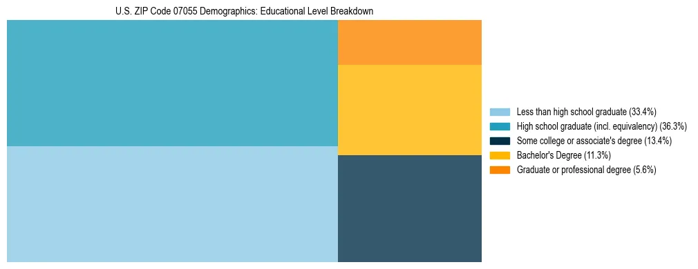 Treemap chart illustrating the educational attainment breakdown for population 25 years and over in US ZIP Code 07055.