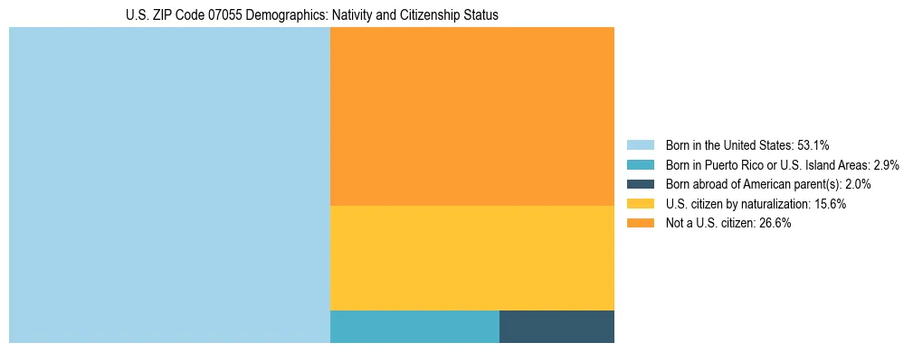 Treemap showing the population distribution by nativity and citizenship status in US ZIP Code 07055 based on U.S. Census data.