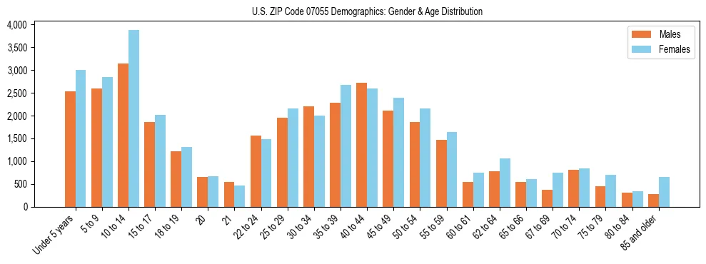 Bar chart showing the population distribution of US ZIP Code 07055 by age group and gender, based on 2023 ACS data.
