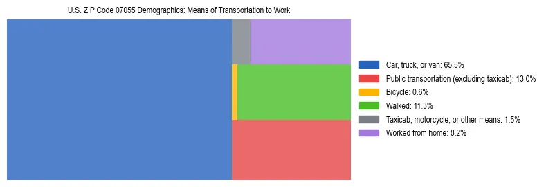 Treemap showing means of transportation to work distribution in US ZIP Code 07055.