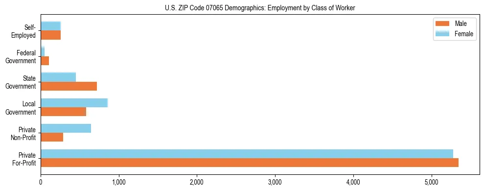 Horizontal bar chart showing employment distribution by class of worker and gender in US ZIP Code 07065, based on 2023 ACS data.