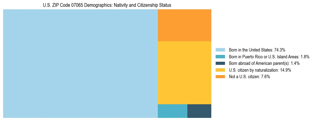 Treemap showing the population distribution by nativity and citizenship status in US ZIP Code 07065 based on U.S. Census data.
