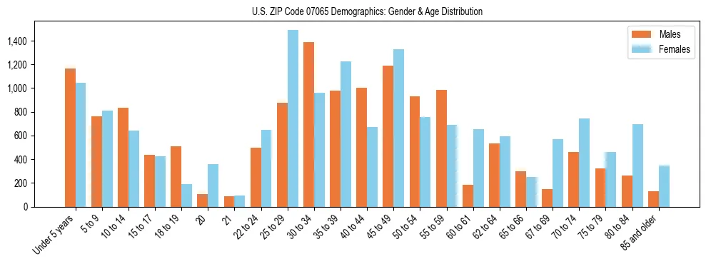 Bar chart showing the population distribution of US ZIP Code 07065 by age group and gender, based on 2023 ACS data.