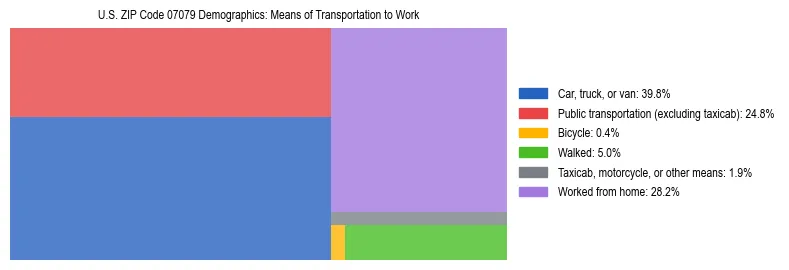 Treemap showing means of transportation to work distribution in US ZIP Code 07079.