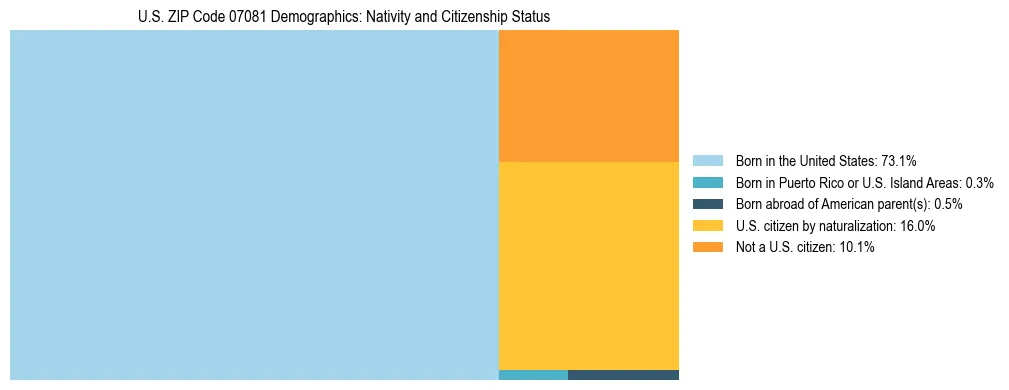 Treemap showing the population distribution by nativity and citizenship status in US ZIP Code 07081 based on U.S. Census data.