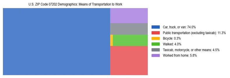 Treemap showing means of transportation to work distribution in US ZIP Code 07202.