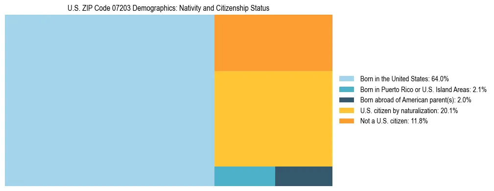 Treemap showing the population distribution by nativity and citizenship status in US ZIP Code 07203 based on U.S. Census data.