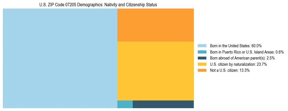 Treemap showing the population distribution by nativity and citizenship status in US ZIP Code 07205 based on U.S. Census data.