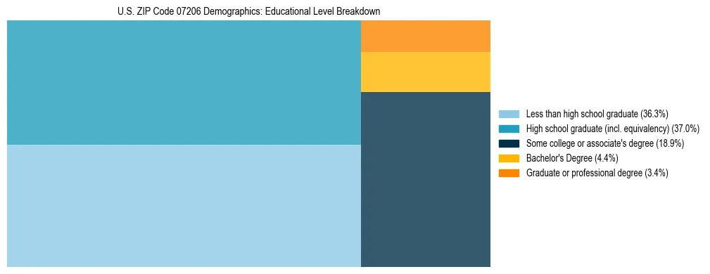 Treemap chart illustrating the educational attainment breakdown for population 25 years and over in US ZIP Code 07206.