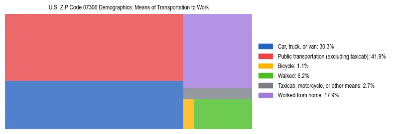 Treemap showing means of transportation to work distribution in US ZIP Code 07306.