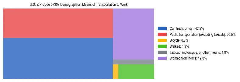 Treemap showing means of transportation to work distribution in US ZIP Code 07307.