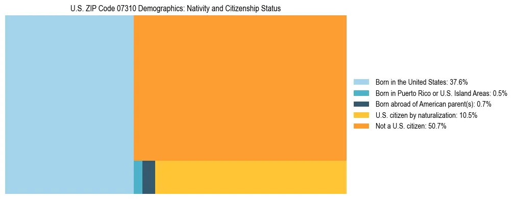 Treemap showing the population distribution by nativity and citizenship status in US ZIP Code 07310 based on U.S. Census data.