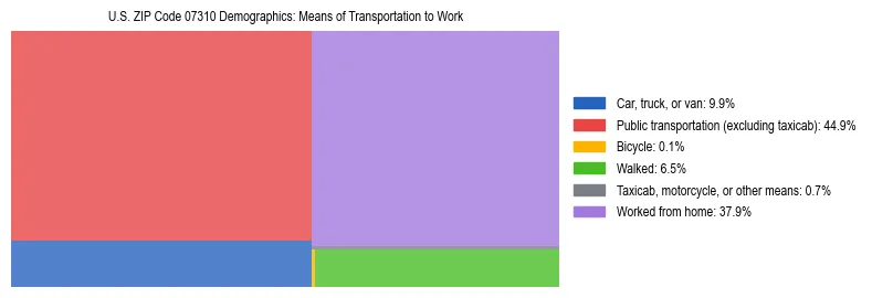 Treemap showing means of transportation to work distribution in US ZIP Code 07310.