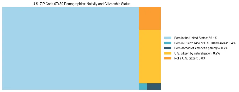 Treemap showing the population distribution by nativity and citizenship status in US ZIP Code 07480 based on U.S. Census data.