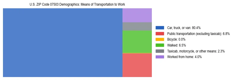 Treemap showing means of transportation to work distribution in US ZIP Code 07503.