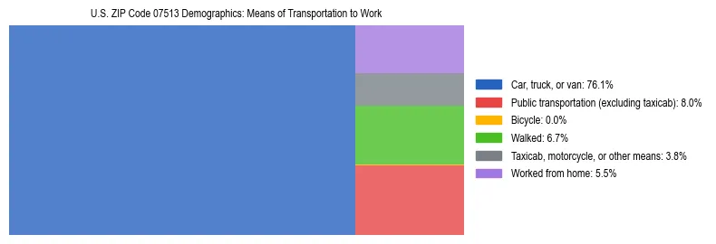 Treemap showing means of transportation to work distribution in US ZIP Code 07513.