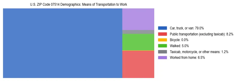 Treemap showing means of transportation to work distribution in US ZIP Code 07514.