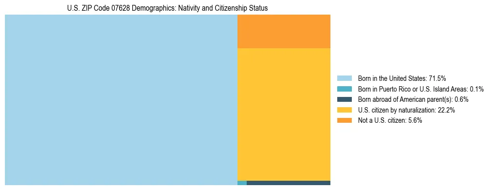 Treemap showing the population distribution by nativity and citizenship status in US ZIP Code 07628 based on U.S. Census data.