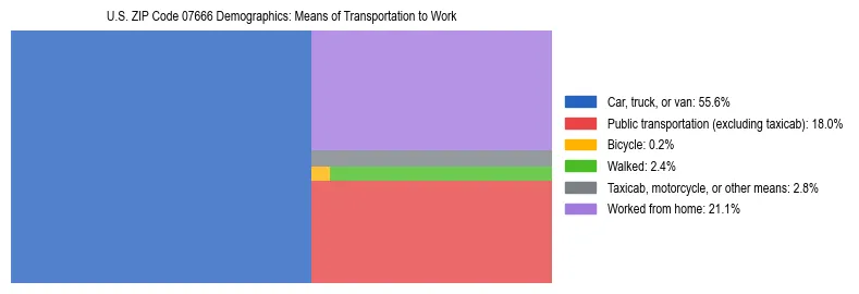 Treemap showing means of transportation to work distribution in US ZIP Code 07666.