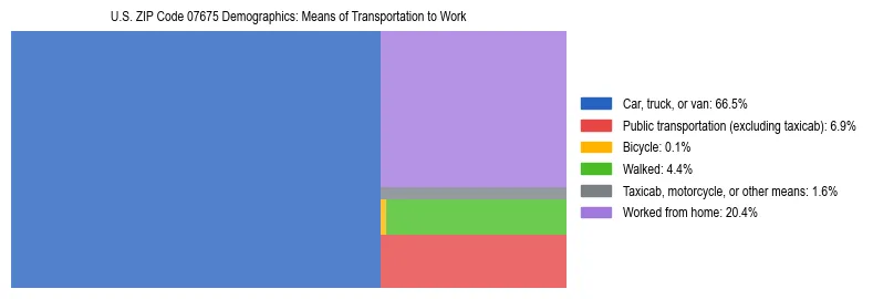 Treemap showing means of transportation to work distribution in US ZIP Code 07675.