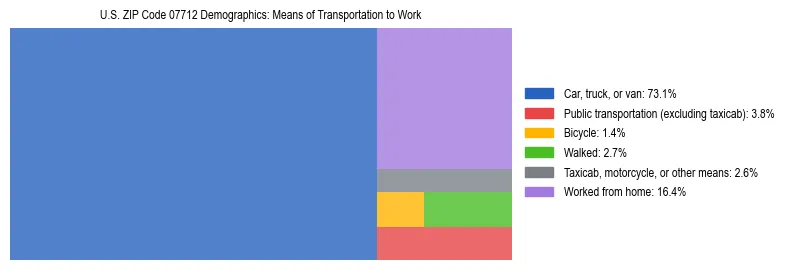 Treemap showing means of transportation to work distribution in US ZIP Code 07712.