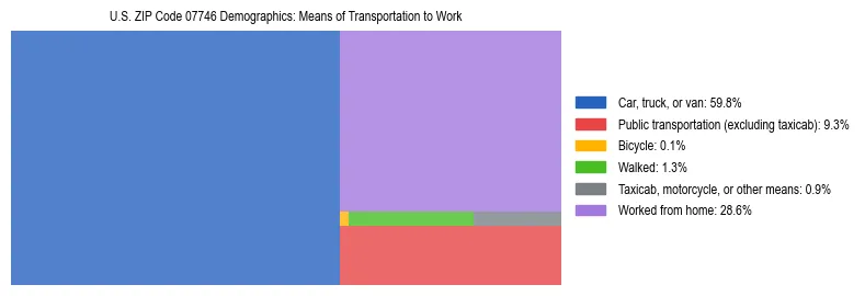 Treemap showing means of transportation to work distribution in US ZIP Code 07746.