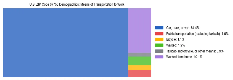 Treemap showing means of transportation to work distribution in US ZIP Code 07753.