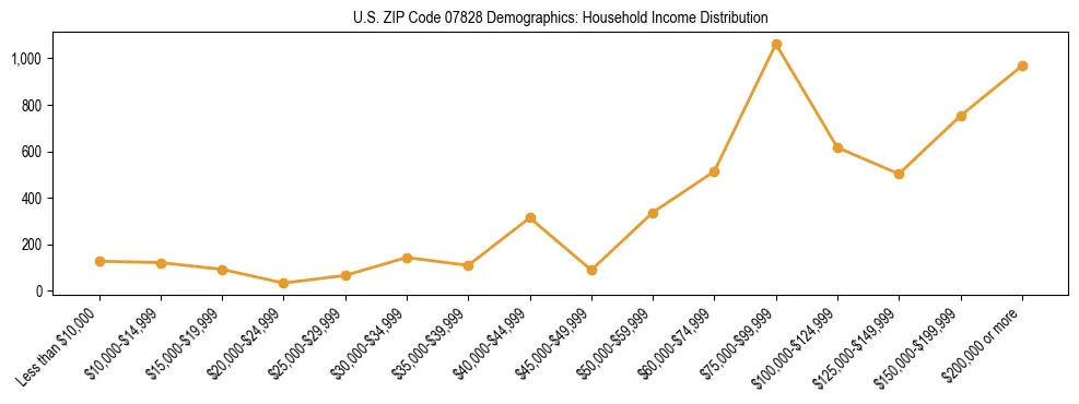 Horizontal bar chart showing household income distribution in US ZIP Code 07828.