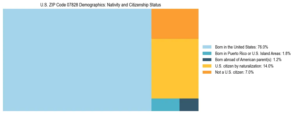 Treemap showing the population distribution by nativity and citizenship status in US ZIP Code 07828 based on U.S. Census data.