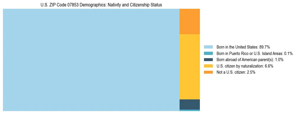 Treemap showing the population distribution by nativity and citizenship status in US ZIP Code 07853 based on U.S. Census data.