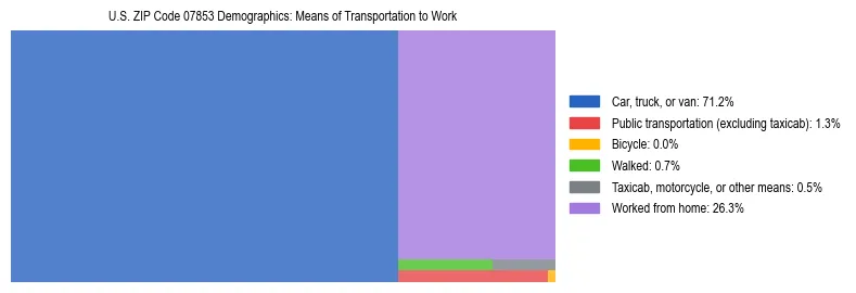 Treemap showing means of transportation to work distribution in US ZIP Code 07853.
