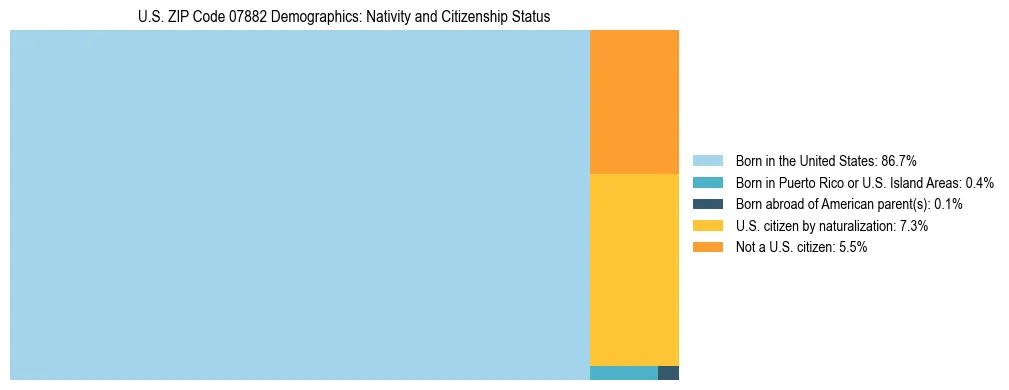 Treemap showing the population distribution by nativity and citizenship status in US ZIP Code 07882 based on U.S. Census data.