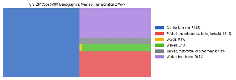 Treemap showing means of transportation to work distribution in US ZIP Code 07901.