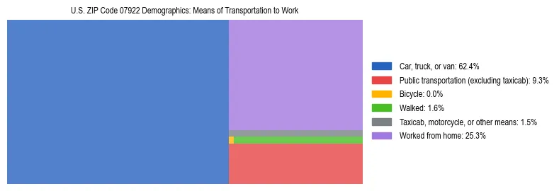 Treemap showing means of transportation to work distribution in US ZIP Code 07922.