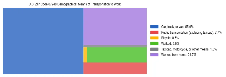 Treemap showing means of transportation to work distribution in US ZIP Code 07940.