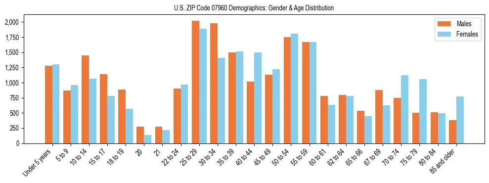 Bar chart showing the population distribution of US ZIP Code 07960 by age group and gender, based on 2023 ACS data.