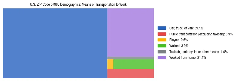 Treemap showing means of transportation to work distribution in US ZIP Code 07960.