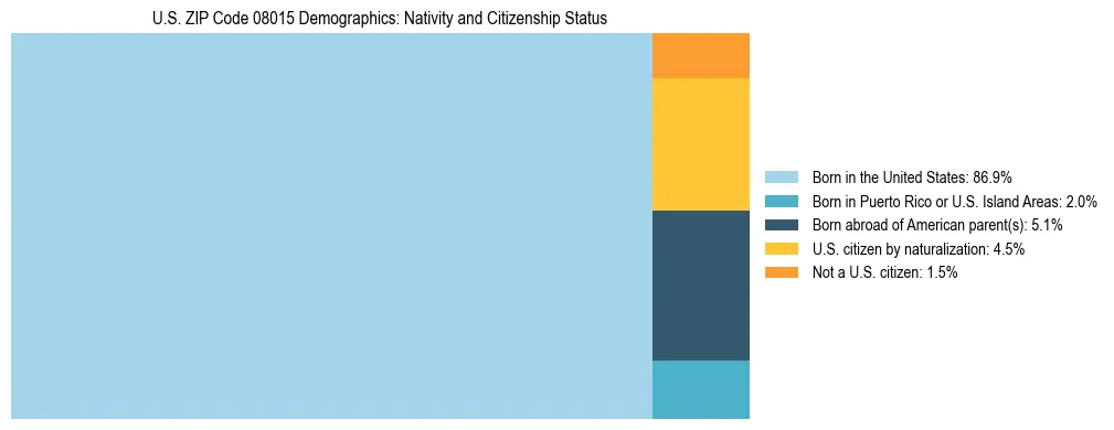 Treemap showing the population distribution by nativity and citizenship status in US ZIP Code 08015 based on U.S. Census data.