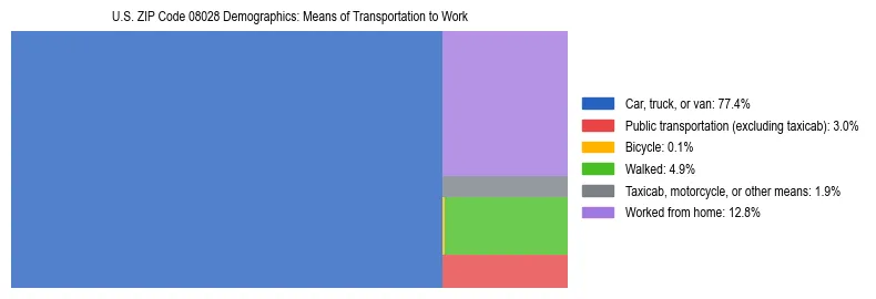 Treemap showing means of transportation to work distribution in US ZIP Code 08028.