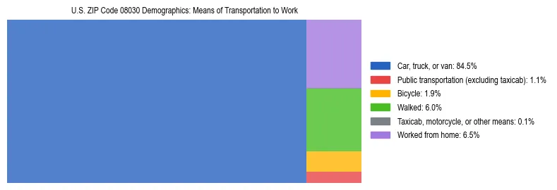 Treemap showing means of transportation to work distribution in US ZIP Code 08030.